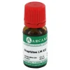 Graphites Arcana LM 12 Dilution, 10 ml