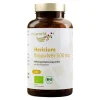 Hericium Biopulver 500 mg Kapseln, 120 St