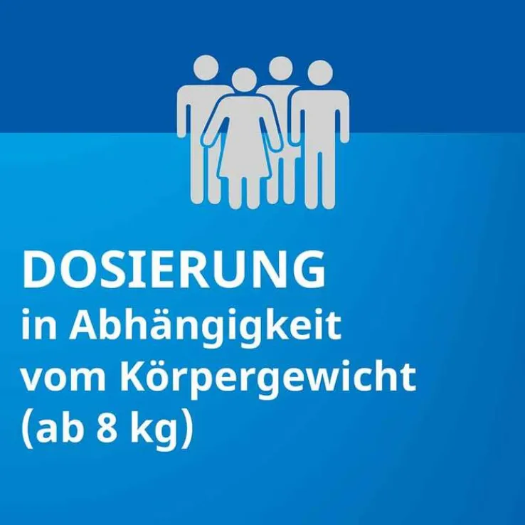 Ibuprofen STADA 40 mg / ml Suspension zum Einnehmen, 100 ml