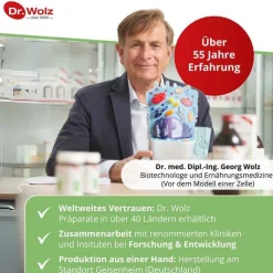 Ingwer Extrakt Dr. Wolz Kapseln, 120 St