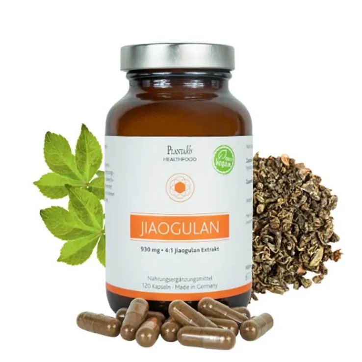 Jiaogulan Extrakt 930 mg Kapseln, 120 St