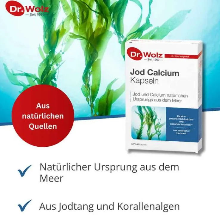 Jod Calcium Kapseln Dr. Wolz, 60 St