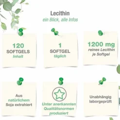 Lecithin 1200 mg Sojalecithin + Vitamin E vegan Weichk., 120 St