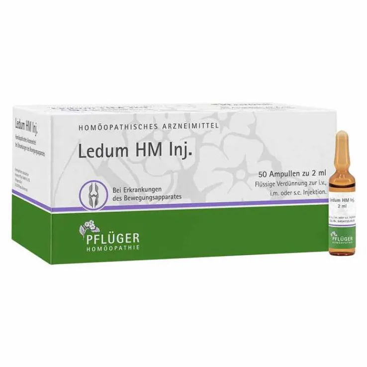 Ledum HM Injekt Ampullen, 50 St