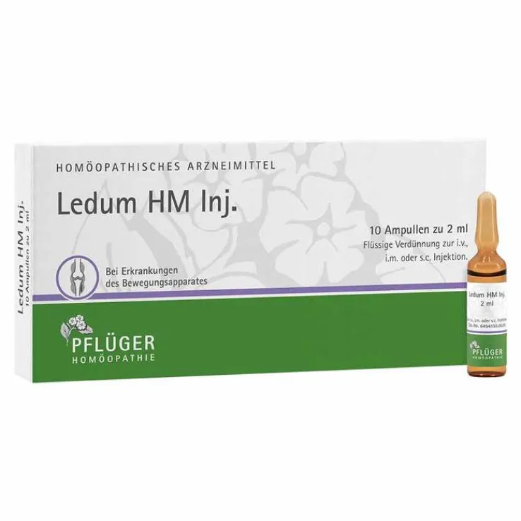 Ledum HM Injekt Ampullen, 10 St