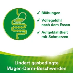 Lefax Enzym Kautabletten, 20 St