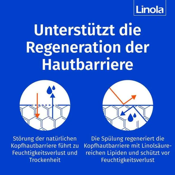 Linola Haar- und Kopfhautspülung, 200 ml