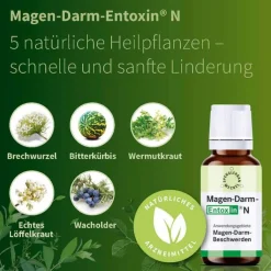 Magen Darm Entoxin N Tropfen, 50 ml