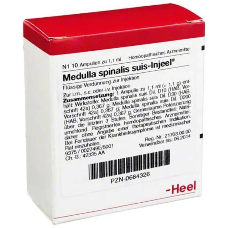 Medulla Spinalis suis Injeel Ampullen, 10 St