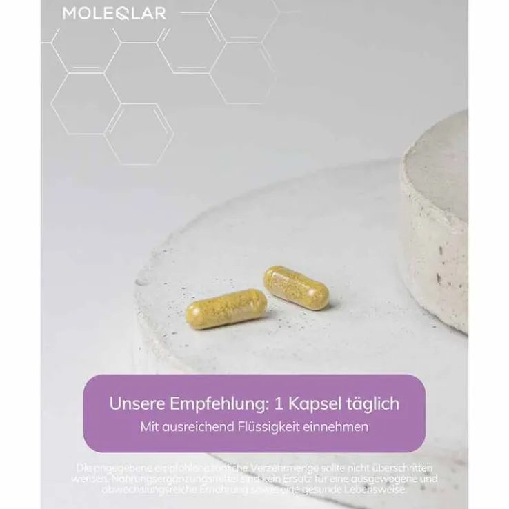 Moleqlar Berberine Mineral-Complex Kapseln, 60 St
