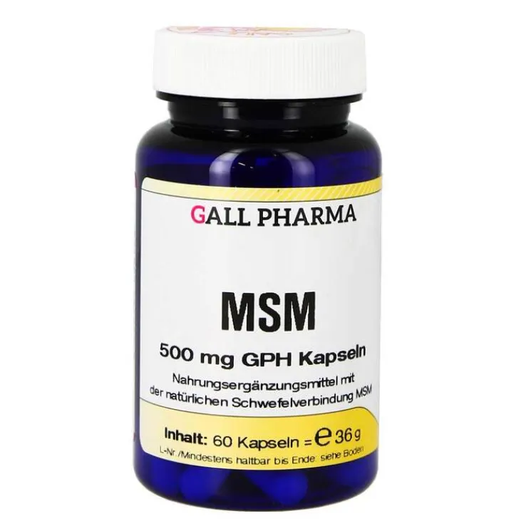 MSM 500 mg GPH Kapseln, 60 St