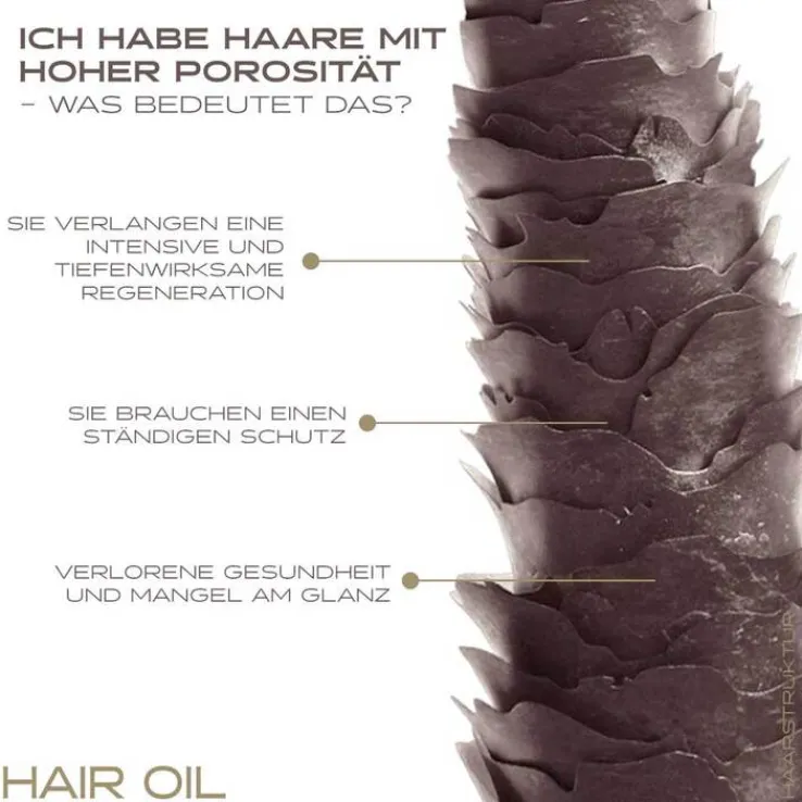 Nanoil Haaröl High Porosity Hair, 100 ml