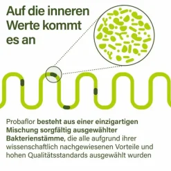 Nupure probaflor Mikrobiotika magensaftresistent Kapseln, 30 St
