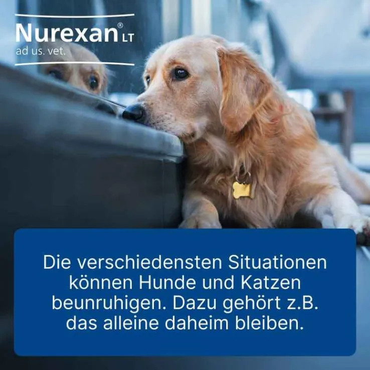 Nurexan LT ad us. vet. Tabletten, 500 St