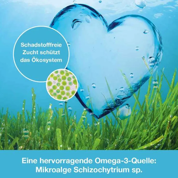 OMEGA3-Loges pflanzlich Kapseln, 60 St