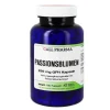 Passionsblumen 289 mg GPH Kapseln, 180 St