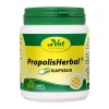 Propolis Herbal Kapseln vet. (für Tiere), 100 St