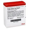 Pulpa Dentis suis Injeel Ampullen, 10 St