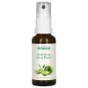 Raumspray Citrus Dream, 30 ml