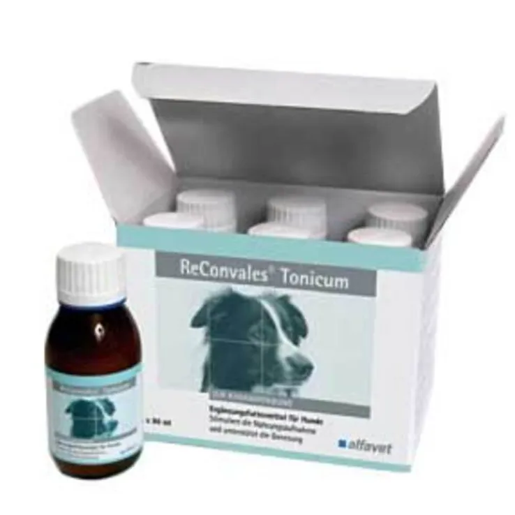 Reconvales Tonicum für Hunde, 6X90 ml