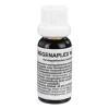 Regenaplex Nr.65 a Tropfen, 15 ml