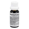 Regenaplex Nr.109 Tropfen, 15 ml