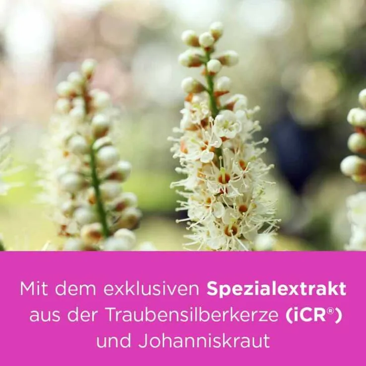 remifemin® PLUS Johanniskraut , 100 St