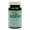 Resveratrol Kapseln von Green Line, 60 St