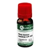 Rhus toxicodendron Arcana LM 30 Dilution, 10 ml