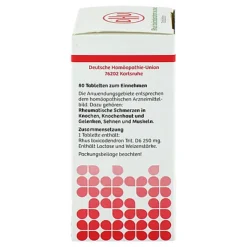 Rhus toxicodendron D6 DHU bei rheumatischen Schmerzen Tabletten , 80 St