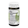Rhus toxicodendron Phcp Globuli, 20 g