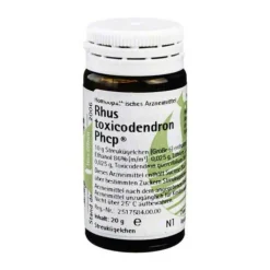 Rhus toxicodendron Phcp Globuli, 20 g