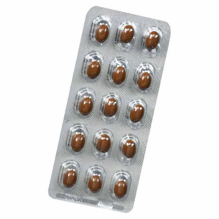Sabal Kürbis Kapseln Salus, 90 St