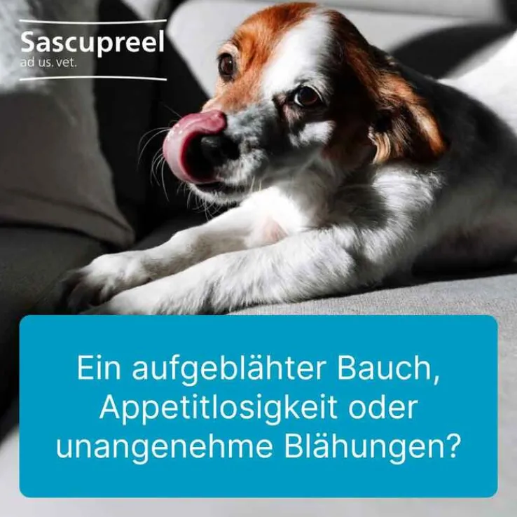 Sascupreel ad us. vet. Tabletten, 100 St