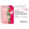 Sidroga Wellness Früchtetee mit Granatapfel Filterb., 20X2.0 g