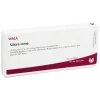 Silicea comp. Ampullen, 10X1 ml