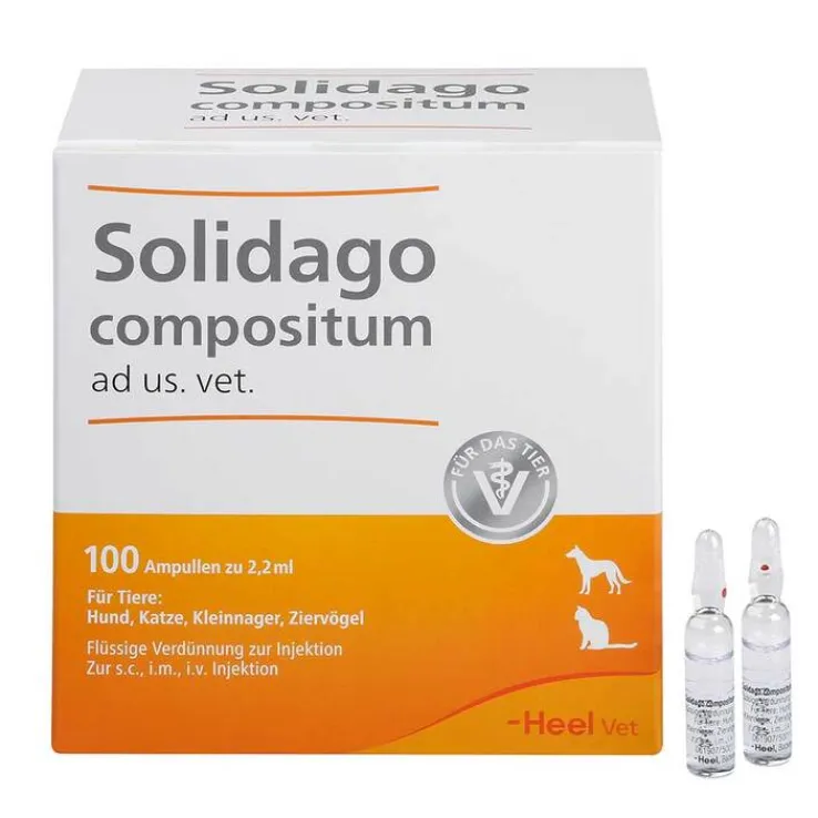 Solidago compositum ad us. vet. Ampullen, 100 St
