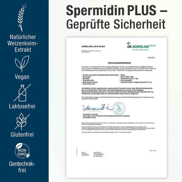Spermidin Plus Kapseln, 60 St