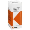Synergon 95 Actaea spic. S T, 50 ml