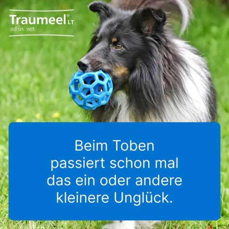 Traumeel LT ad us.vet.Tabletten, 500 St