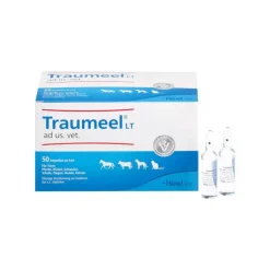 Traumeel LT Ampullen vet. (für Tiere), 50X5 ml