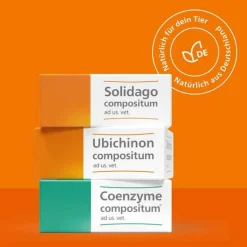 Ubichinon compositum ad us. vet. Ampullen, 10 St