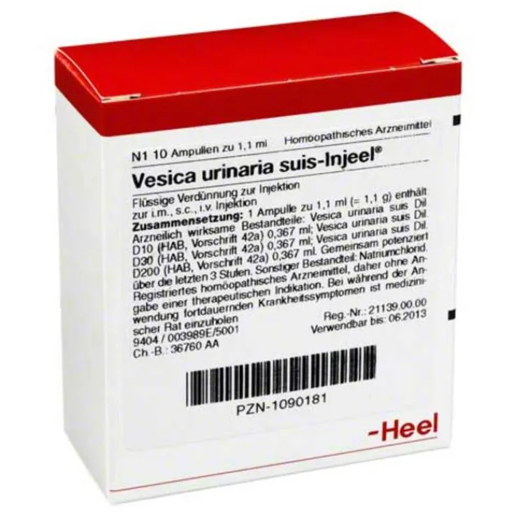 Vesica urinaria suis-Injeel Ampullen, 10 St