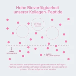 Vital Proteins Beauty Collagen Erdbeere Zitrone, 271 g