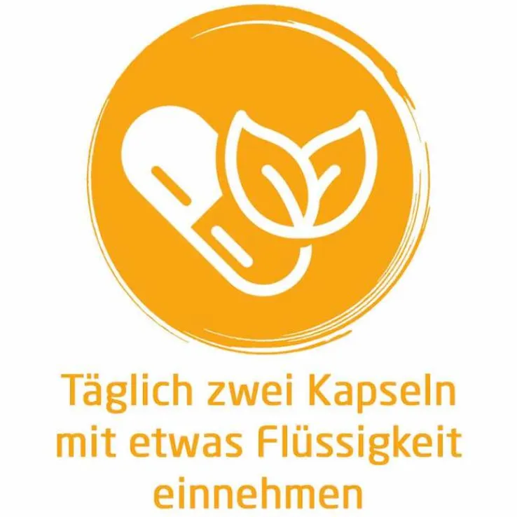 Weleda Naturweisheit Meine Immunformel Kapseln, 46 St