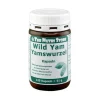 Yamswurzel Wild Yam 250 mg Kapseln, 120 St