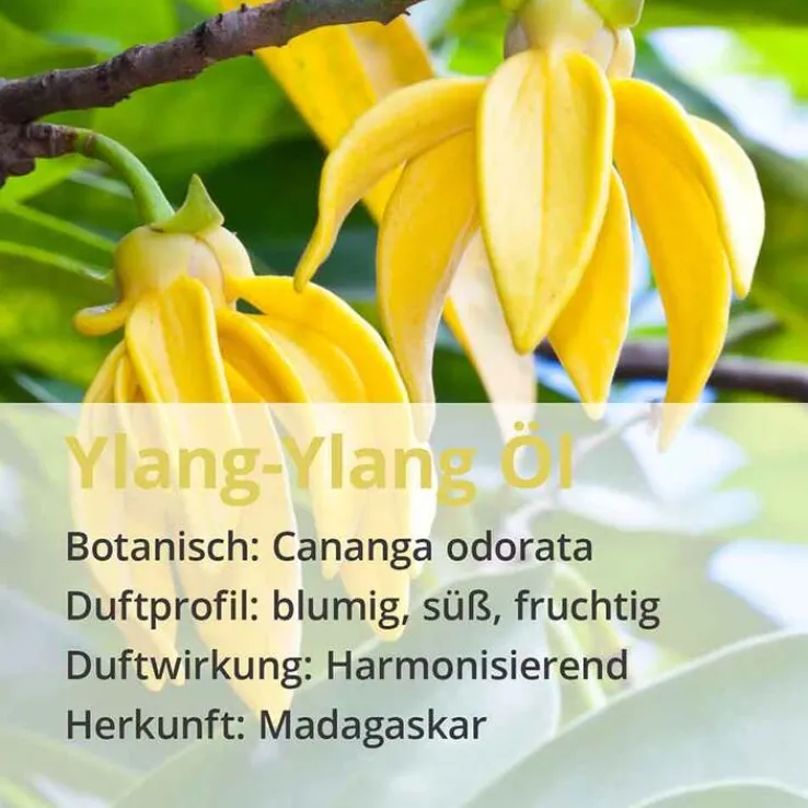 Ylang Ylang Öl naturrein ätherisch, 10 ml